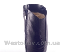 Сапоги Днепр 236ч