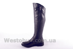 Сапоги Днепр 236ч