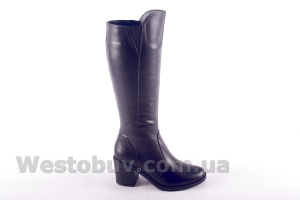 Сапоги Днепр 206ч