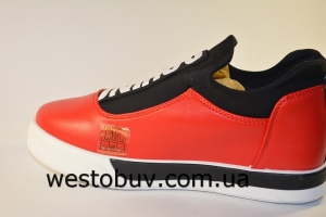 Cлипоны  женские стрейч язычек F140-5