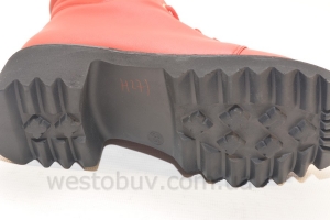 Ботинки зимние для женщин на меху Frtuna H271