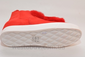 Женские ботинки демисезонные с мехом  R101a