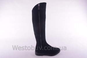 Сапоги Днепр 226чз