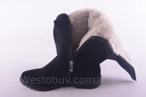 Сапоги Днепр 226чз