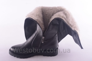 Сапоги Днепр 226чк