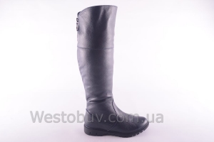 Сапоги Днепр 235ск