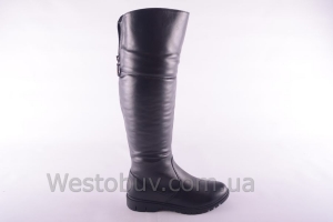 Сапоги Днепр 235чк