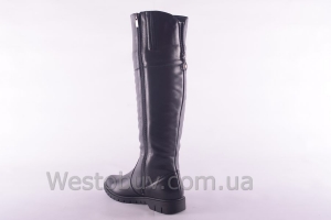 Сапоги Днепр 235чк