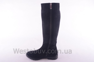Сапоги Днепр 238чз