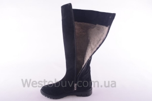 Сапоги Днепр 238чз