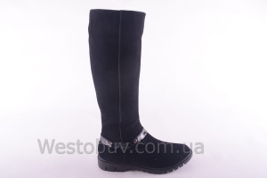 Сапоги Днепр 203чз