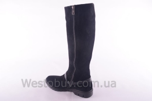 Сапоги Днепр 203чз