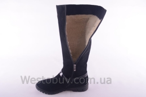 Сапоги Днепр 203чз