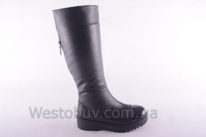 Сапоги Днепр 207чк