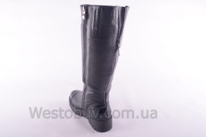 Сапоги Днепр 207чк