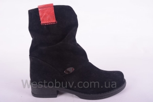 Сапоги Днепр Б Тера-чз