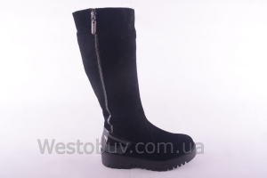 Сапоги Днепр 201чзл