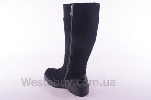 Сапоги Днепр 201чзл