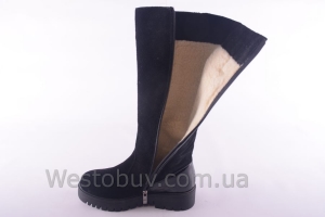 Сапоги Днепр 201чзл