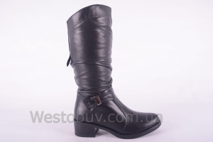 Сапоги Днепр C3004