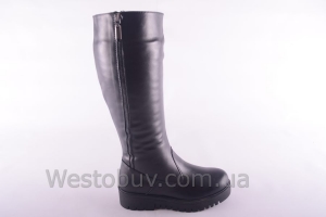 Сапоги Днепр 201чк