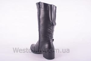 Сапоги Днепр C3004