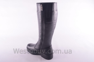 Сапоги Днепр 201чк
