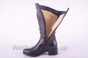 Сапоги Днепр C3004