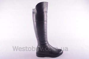 Сапоги Днепр 209чк