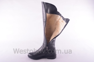 Сапоги Днепр 209чк