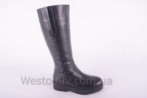 Сапоги Днепр 208