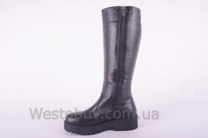 Сапоги Днепр 208