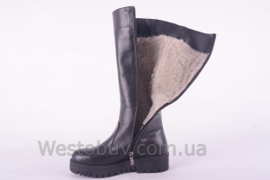 Сапоги Днепр 208