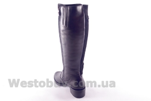 Сапоги Днепр 211чк