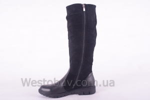 Сапоги Днепр 210чз