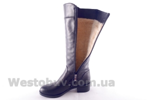 Сапоги Днепр 211чк