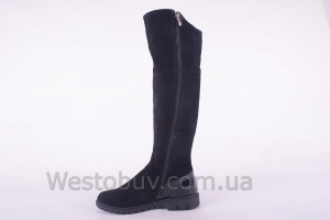 Сапоги Днепр 209чз