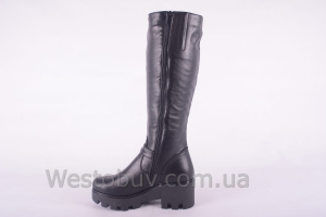 Сапоги Днепр 046