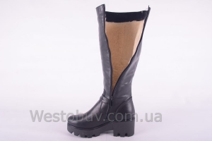 Сапоги Днепр 046