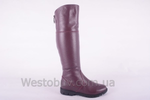 Сапоги Днепр 235бк