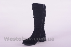 Сапоги Днепр C3004