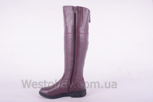 Сапоги Днепр 235бк