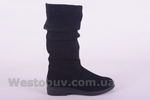 Сапоги Днепр 340