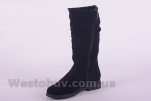 Сапоги Днепр 340