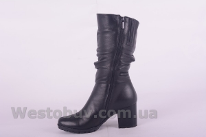 Сапоги Днепр C6010