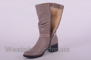 Сапоги Днепр 03