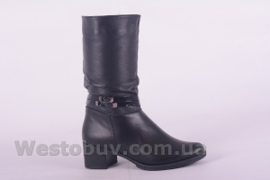 Сапоги Днепр 03
