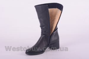 Сапоги Днепр 03