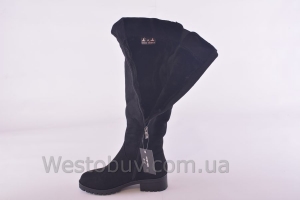 Сапоги Lilin-shoes M104-20