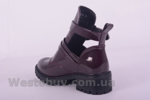 Ботинки Aotoria D16-3623-2